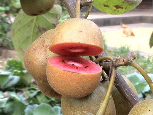 ̩��⨺��ҹ�Ӧ��